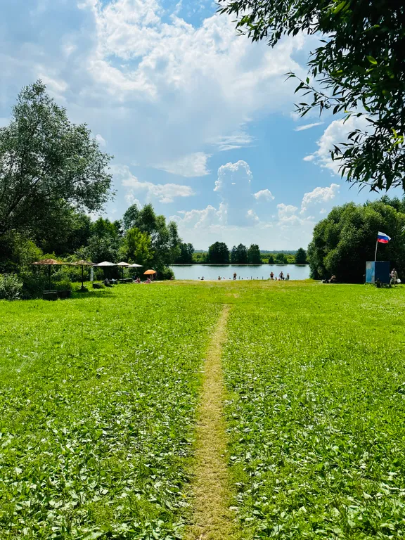 Дом и баня на дровах в сосновом лесу