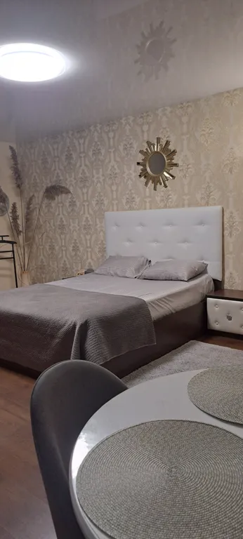 Студия в центре города, парк, ледовая арена