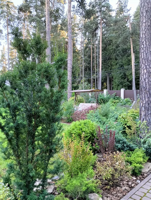 Гостевой домик с банькой и бассейном