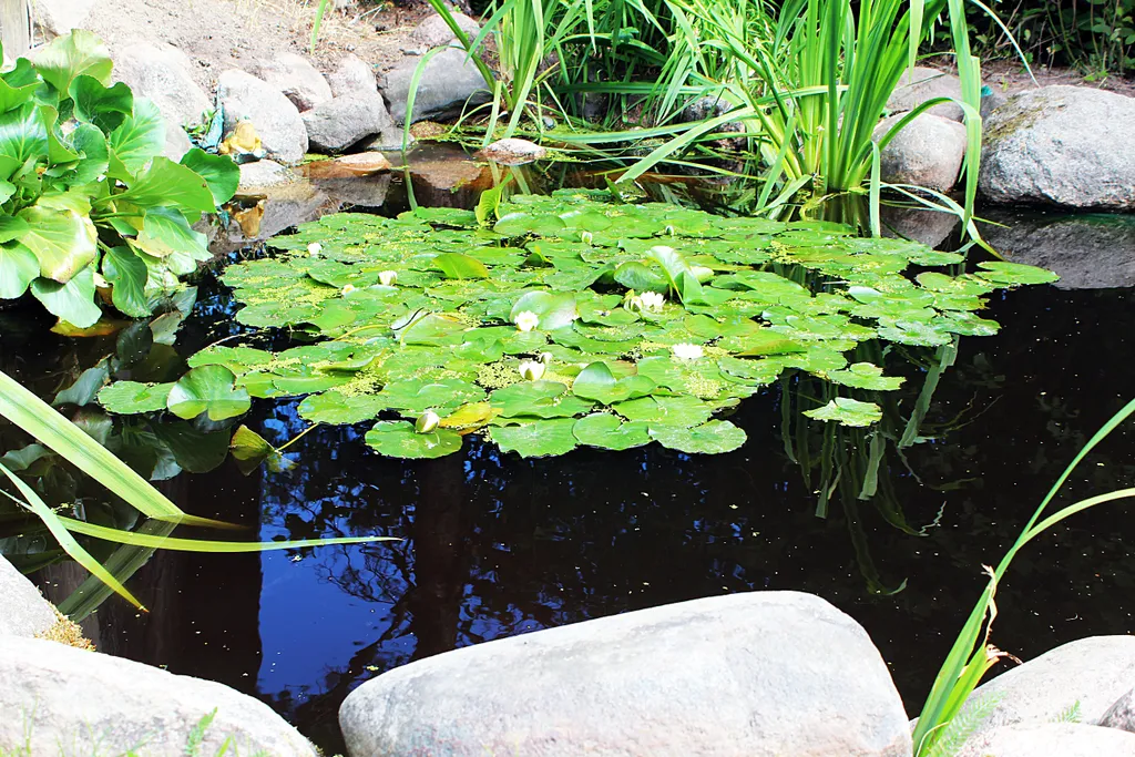 Дом на берегу реки