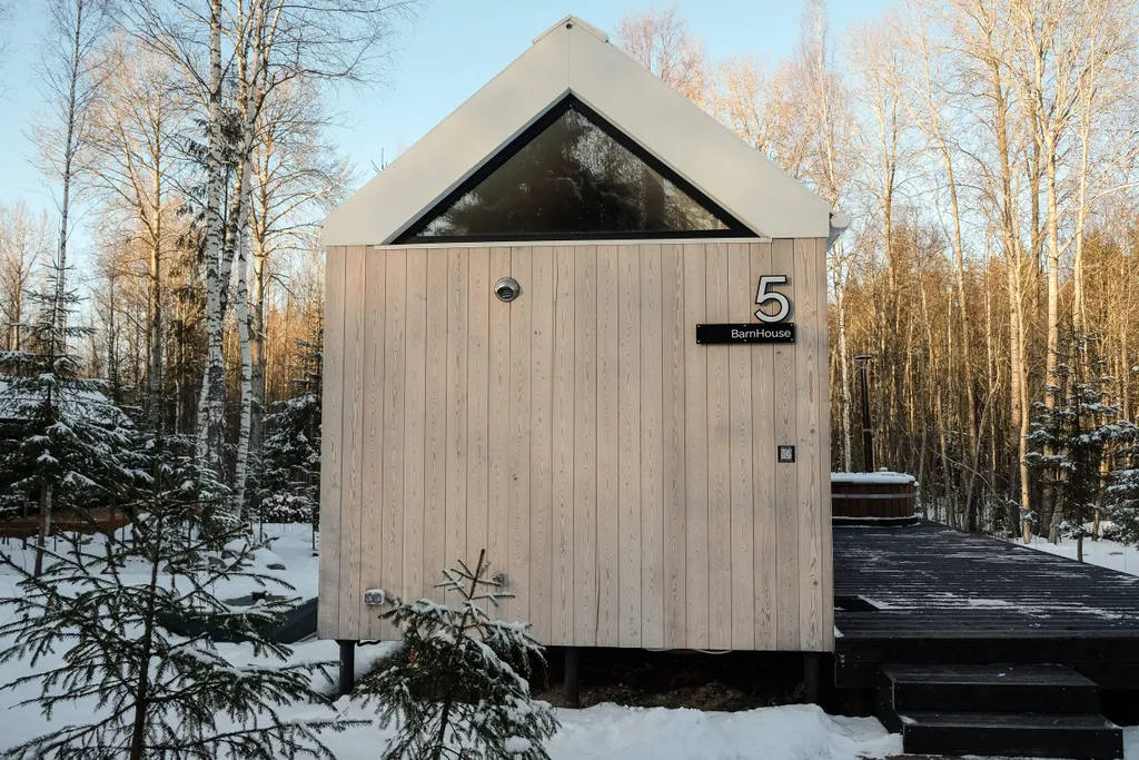 Дом в лесу на 2-х с купелью фурако и мангальной зоной