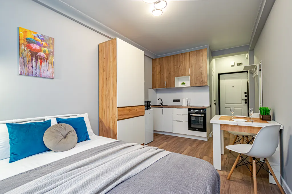 Уютная квартира у цирка