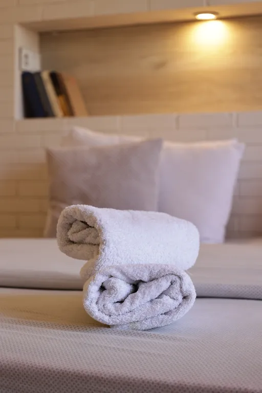 Ambassador apartment