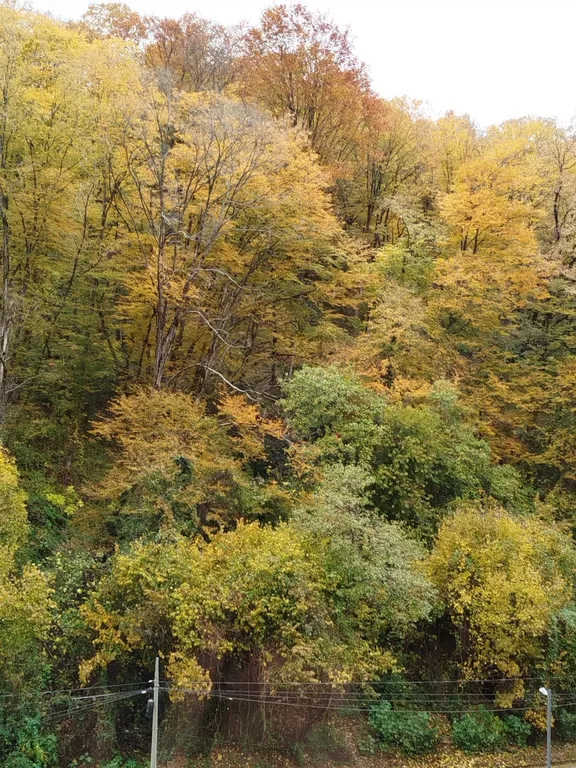 Новая студия в ЖК Летний