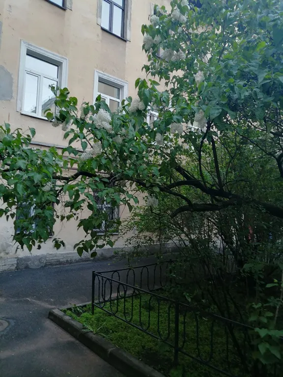 Квартира Квартира Студия в центре в тихом дворе — Санкт-Петербург