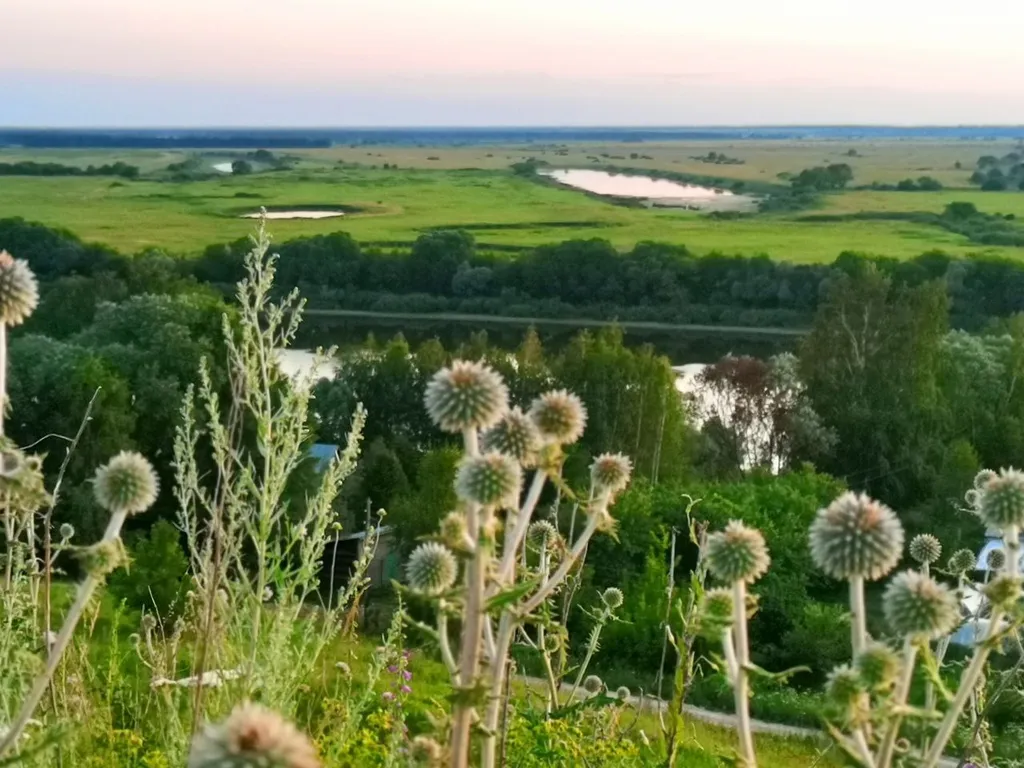 Лес Данкин - домик из Pinterest на Оке