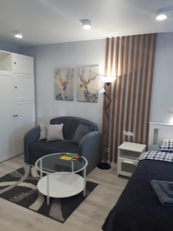 Квартира Уютные апартаменты в самом центре города — аренда посуточно в Мурманск