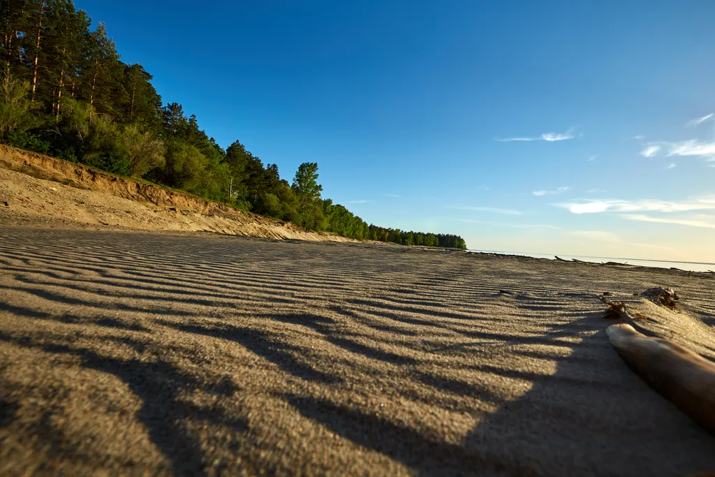 Студия на берегу Обского моря в бору Сказочный лес
