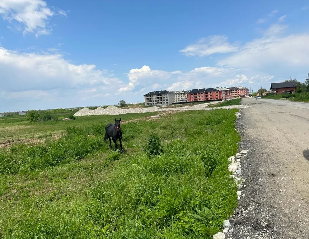 Уютная квартира в тихом месте всеми удобствами