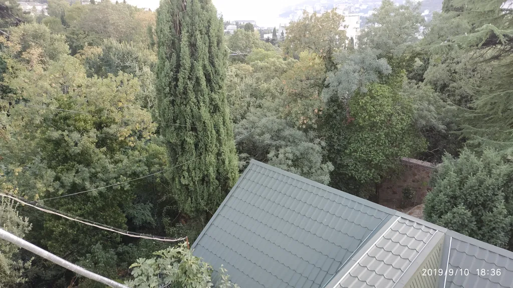 Дом в парковой зоне