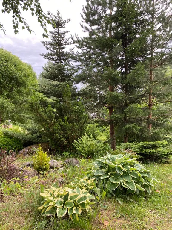 Дом на берегу озера