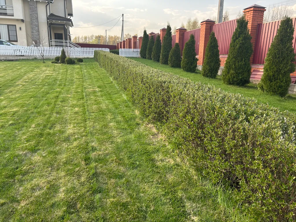 Дом с баней и камином в заповеднике