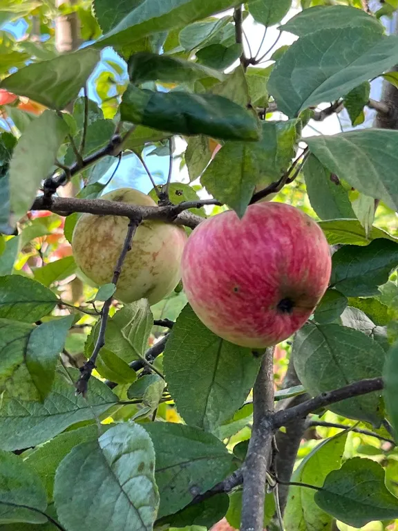 Дом на Валдае
