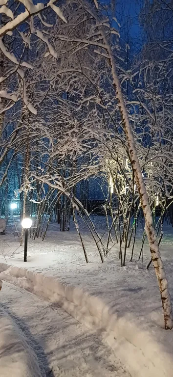 Коттедж Дом (С) с сауной и видом на лес — Воскресенское
