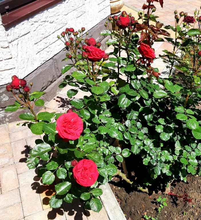 Уютная комната для отдыха с видом на горы