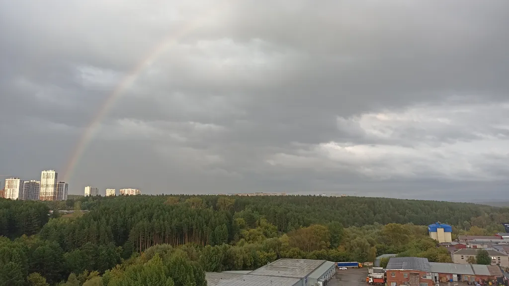 Квартира с панорамным видом на лес в центре города