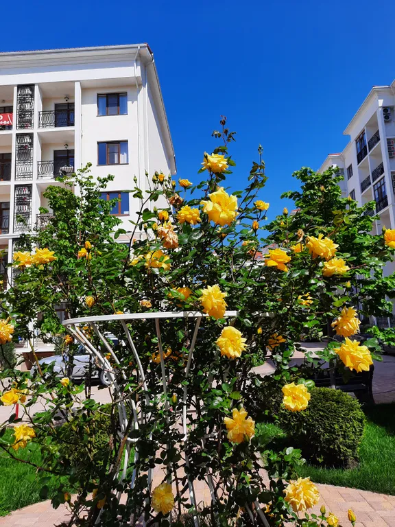 Квартира Апартаменты в ЖК Изумрудный город — Геленджик