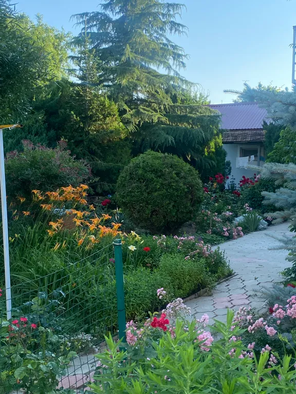 С бассейном рядом с морем