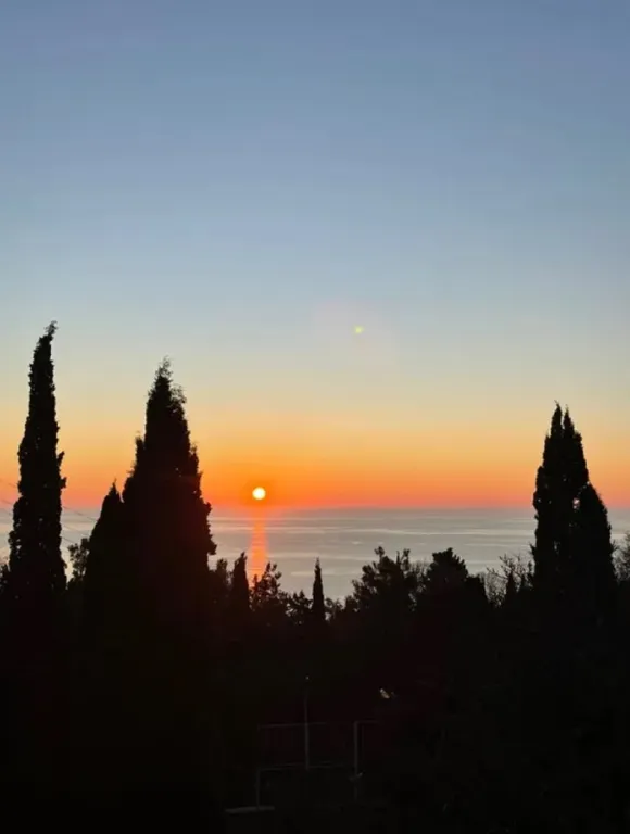 Можжевеловая роща