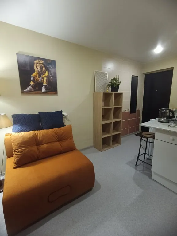 1-комнатная Квартира — аренда посуточно в Екатеринбург