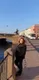Будь как дома в Санкт- Петербурге.