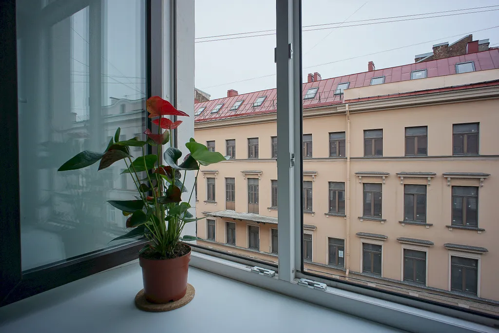 Уютные комнаты в самом центре Петербурга: 3 метро рядом, комфорт и арт