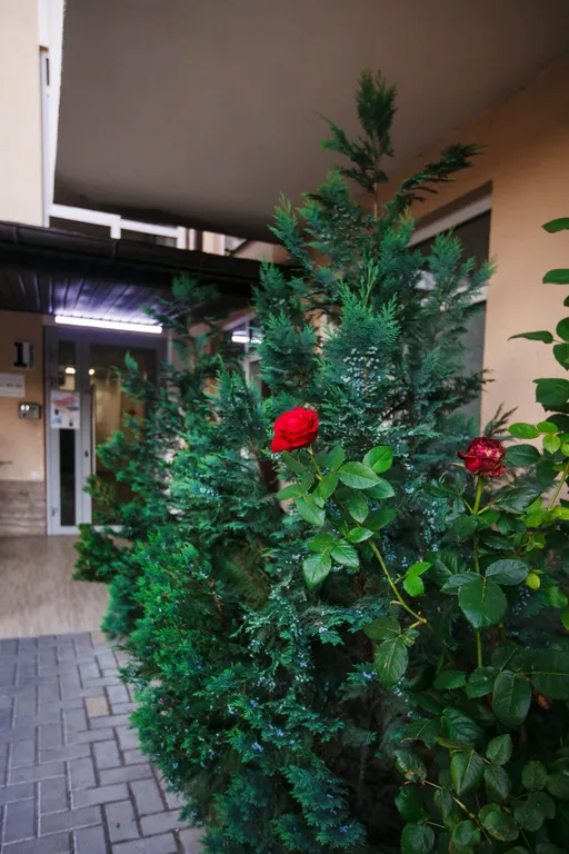 Квартира 1-комнатная Квартира — Сириус