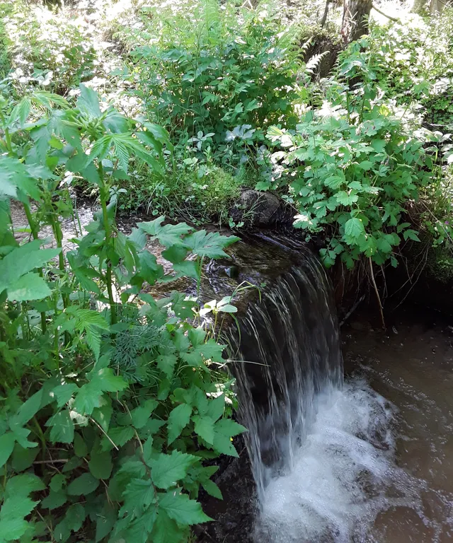 Коттедж Дом на берегу залива с баней и камином — Ключевое