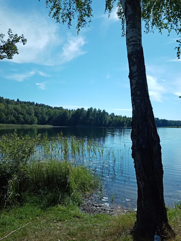 Эко дом Lavstep