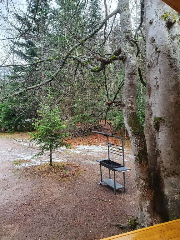 Коттедж Коттедж Шале в лесу — Архыз