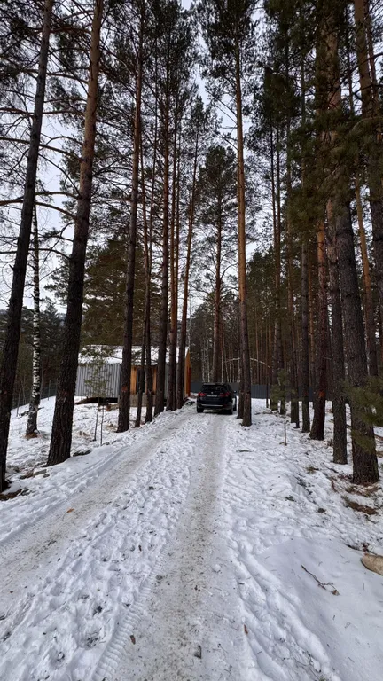 Дом с панорамным видом над сосновым бором