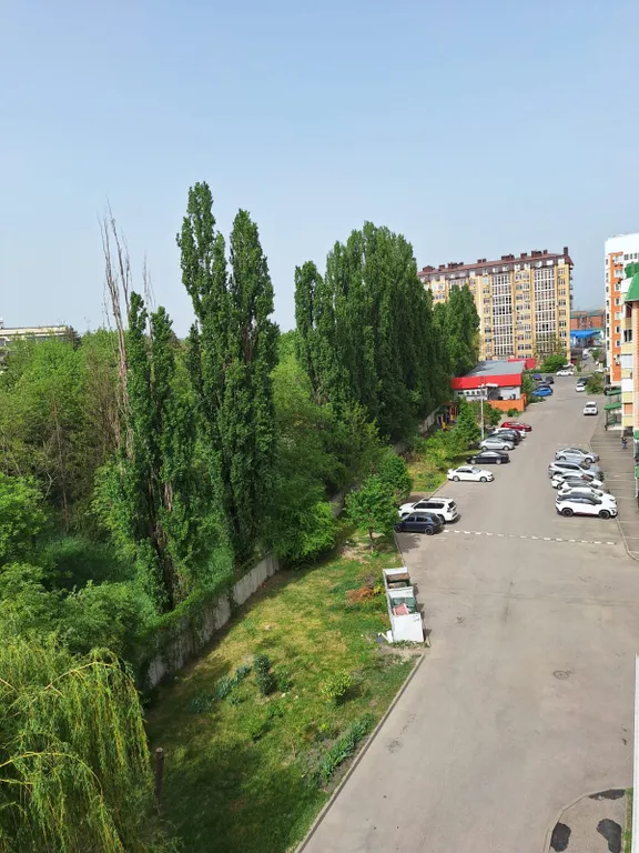 Уютная квартира с видом на парк