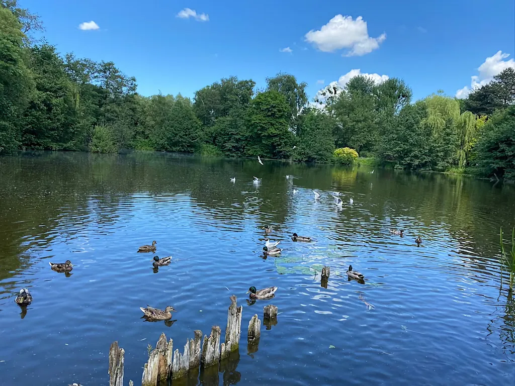 Квартира 1-комнатная Квартира — Калининград