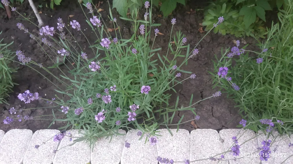 Квартира Квартира Уютная студия в санаторной зоне — Горячий Ключ