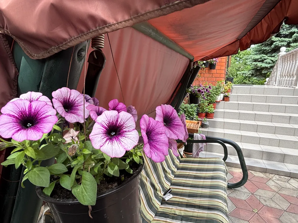 Усадьба Новознаменская