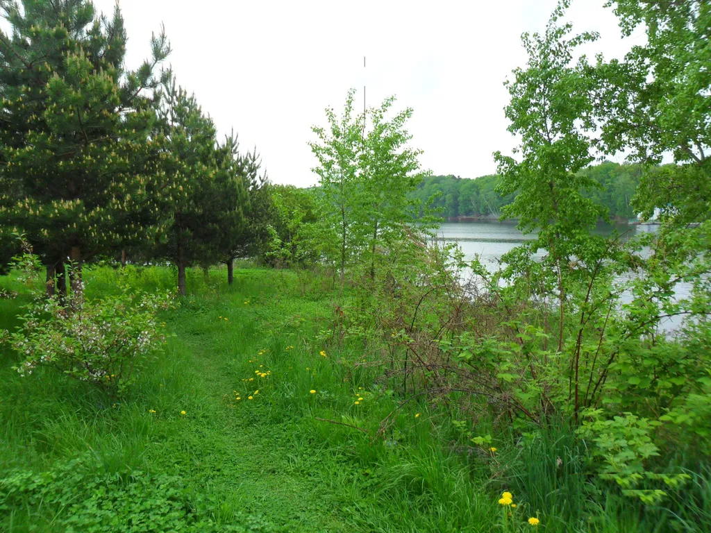 Коттедж Уютный домик на берегу водохранилища — Чиверёво