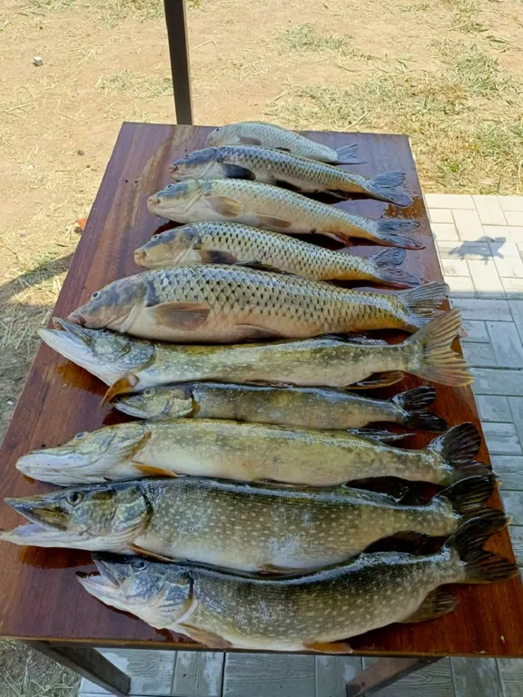 Уютный домик рыбака