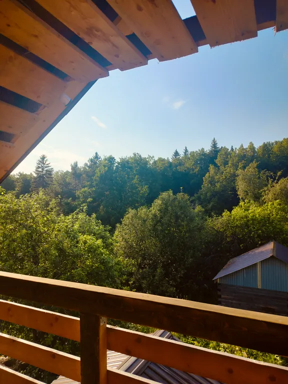 Новый дом  около леса