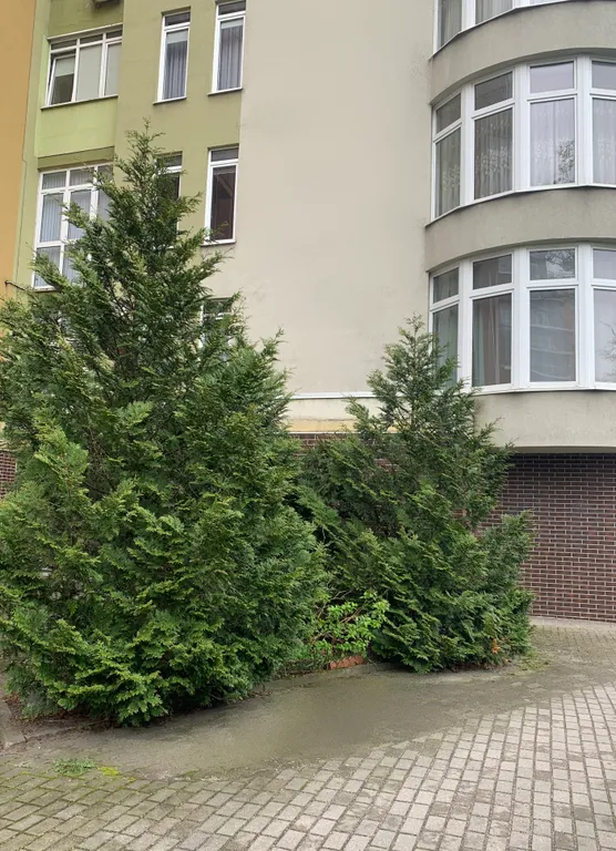 Квартира Уютная квартира у Королевских ворот в лесопарковой зоне — Калининград