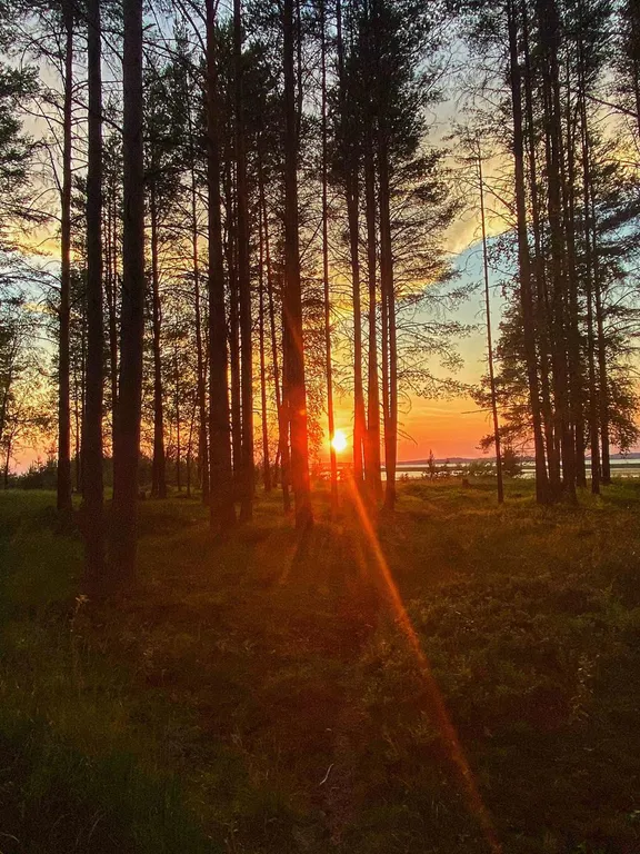 Дом для семьи на берегу озера Сямозеро Карелия