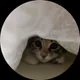 Юлия