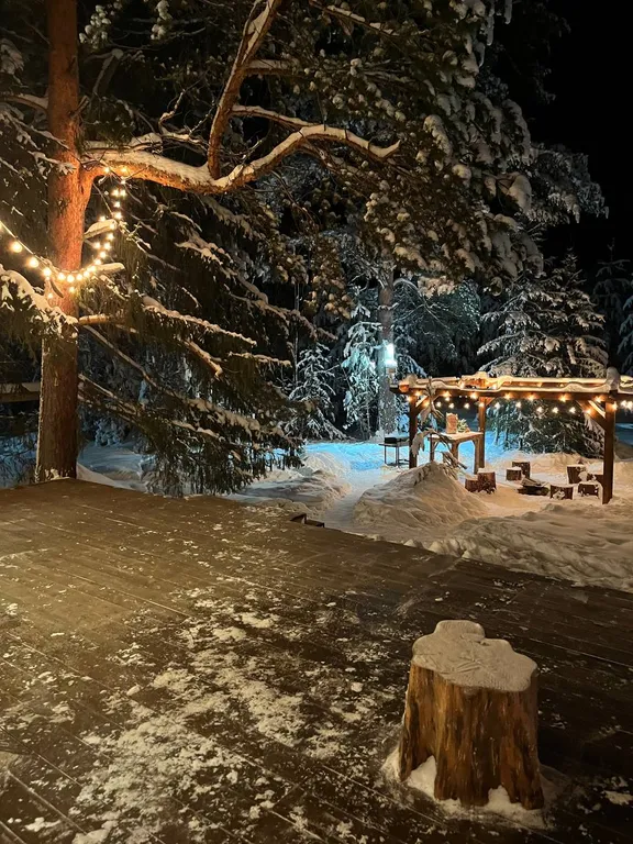 Дом в лесу с баней и чаном