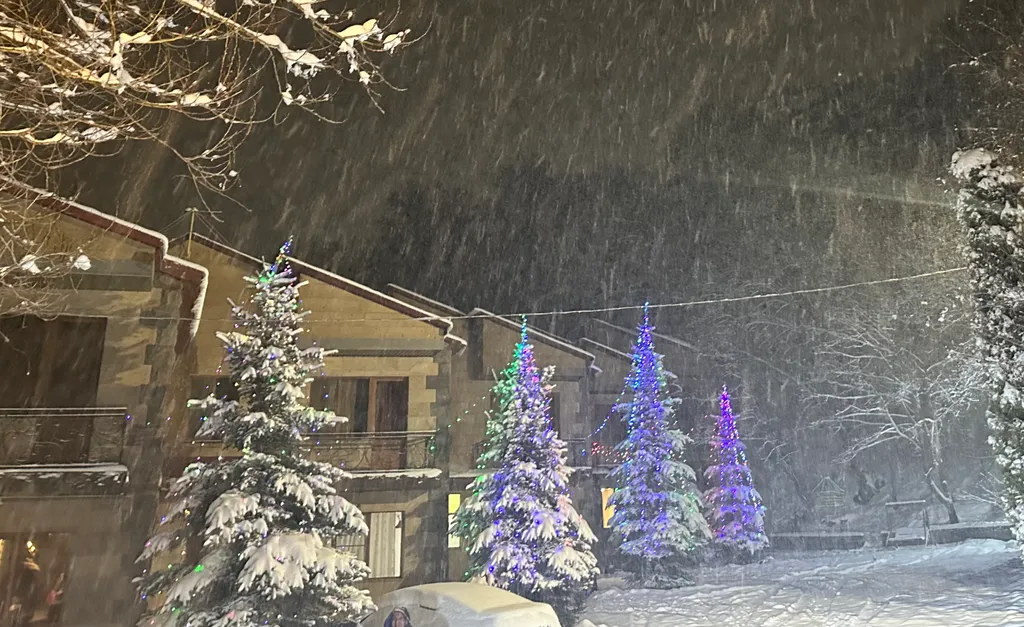 Tsaghkadzor Family Villa