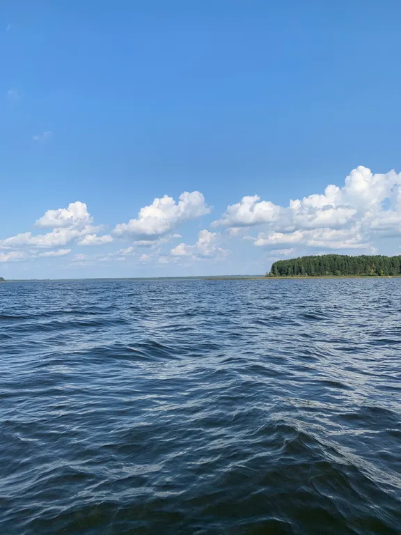 Коттедж Елка