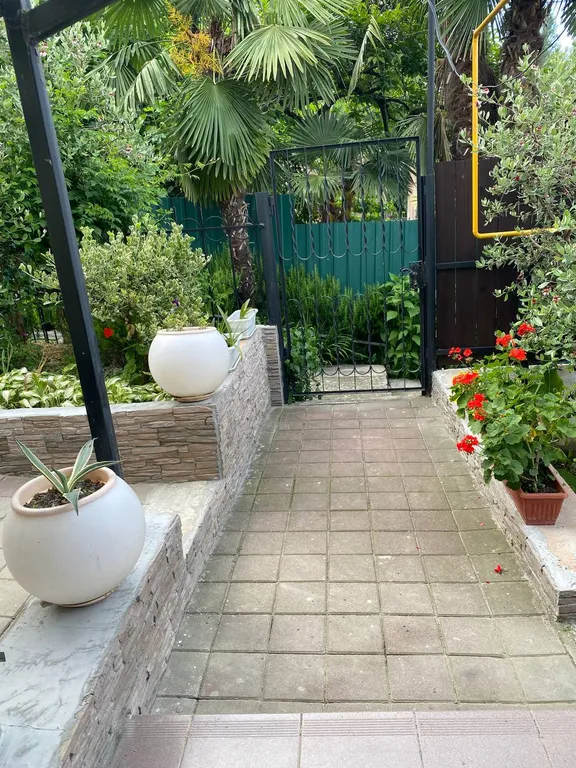 Коттедж Гостевой дом Незабудка в уютном озелененном саду — Сочи