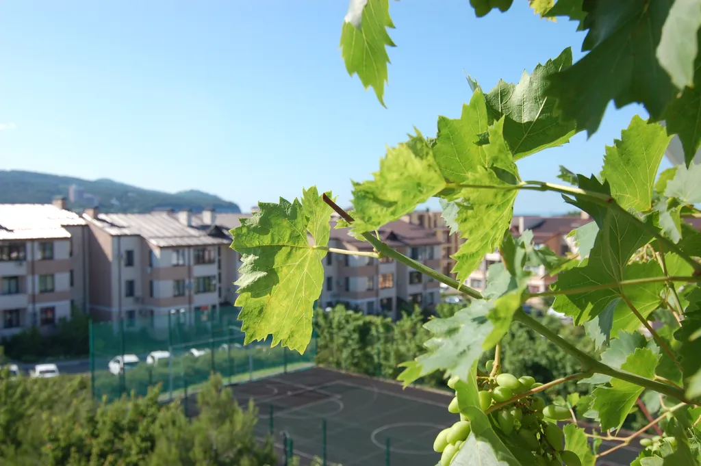 Квартира с видом на Дивноморск