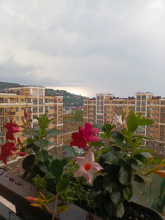 Квартира Уютная однокомнатная квартира для отдыха у моря. — Лазаревское