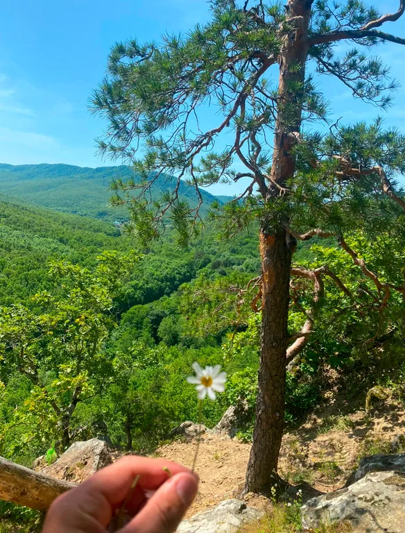Коттедж Домик в предгорье со всеми удобствами — Краснодар