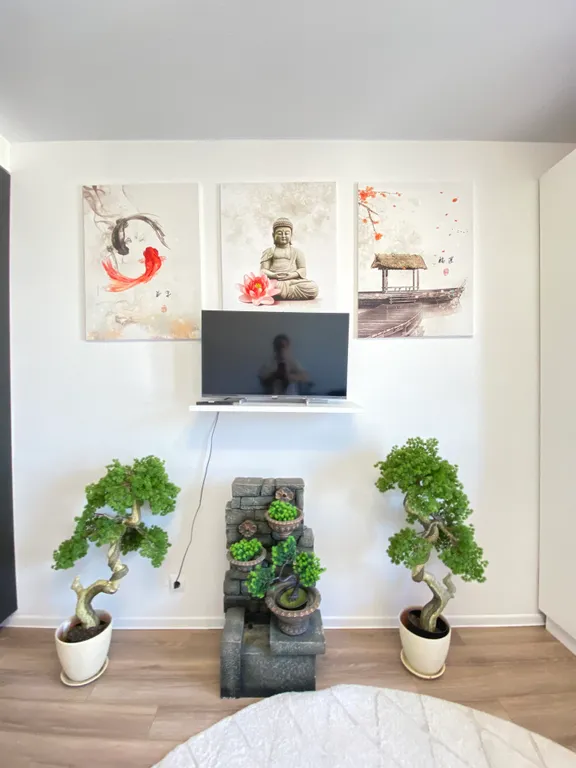 Аэропорт Внуково 10 километров