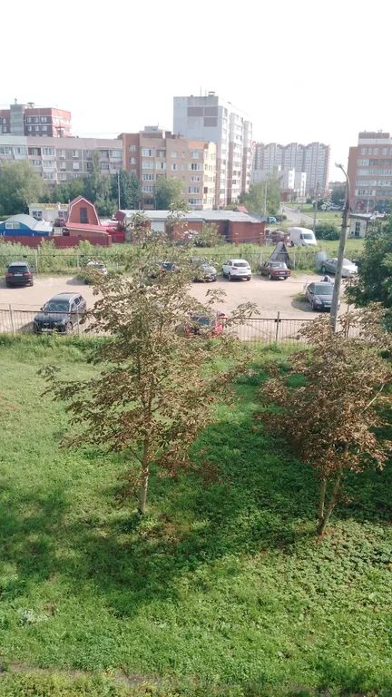 Уютная комната в трёхкомнатной квартире